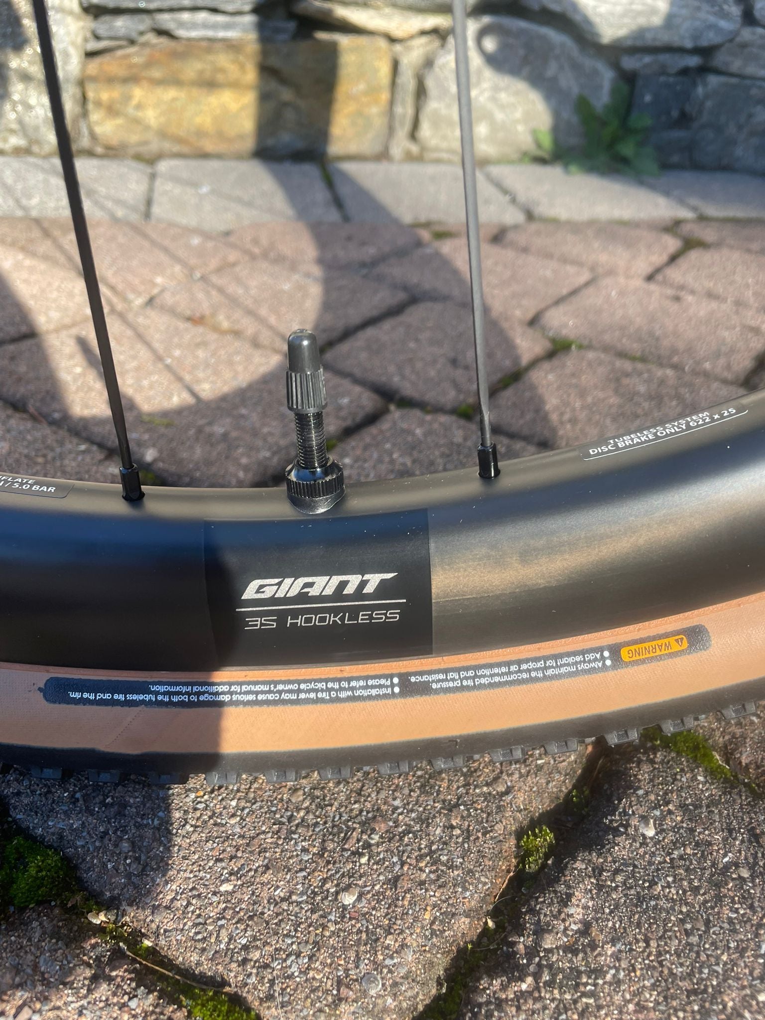 Giant Revolt Advanced Pro 0 2026