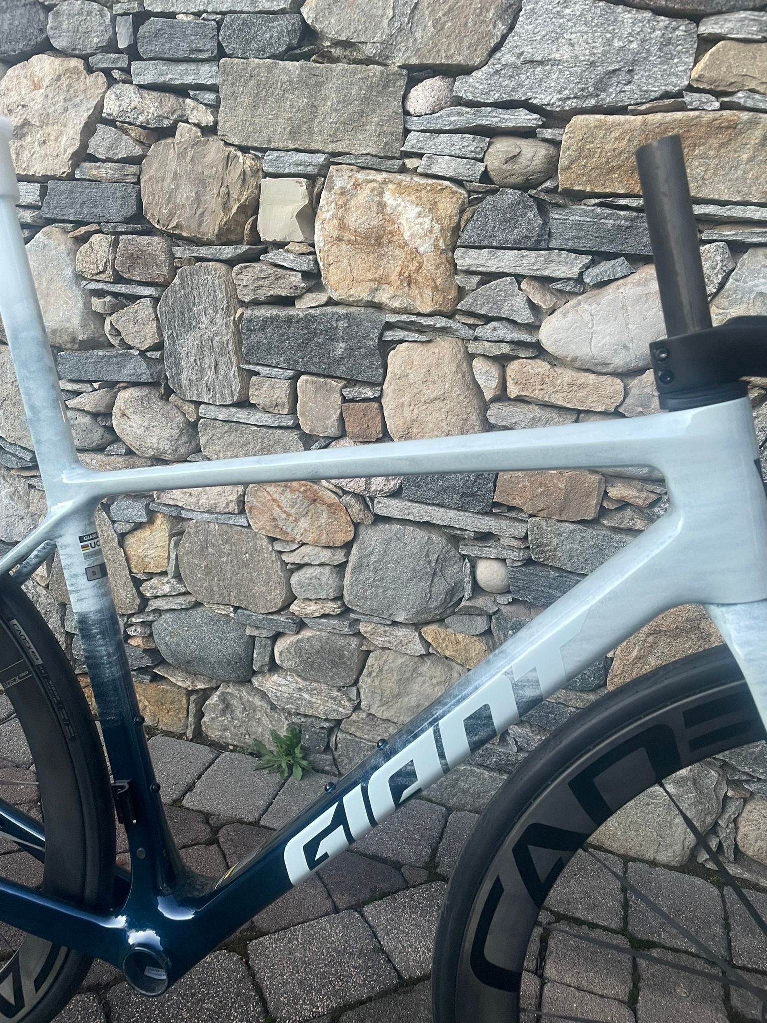 Giant TCR Advanced SL Frameset Polar Tide Frameset