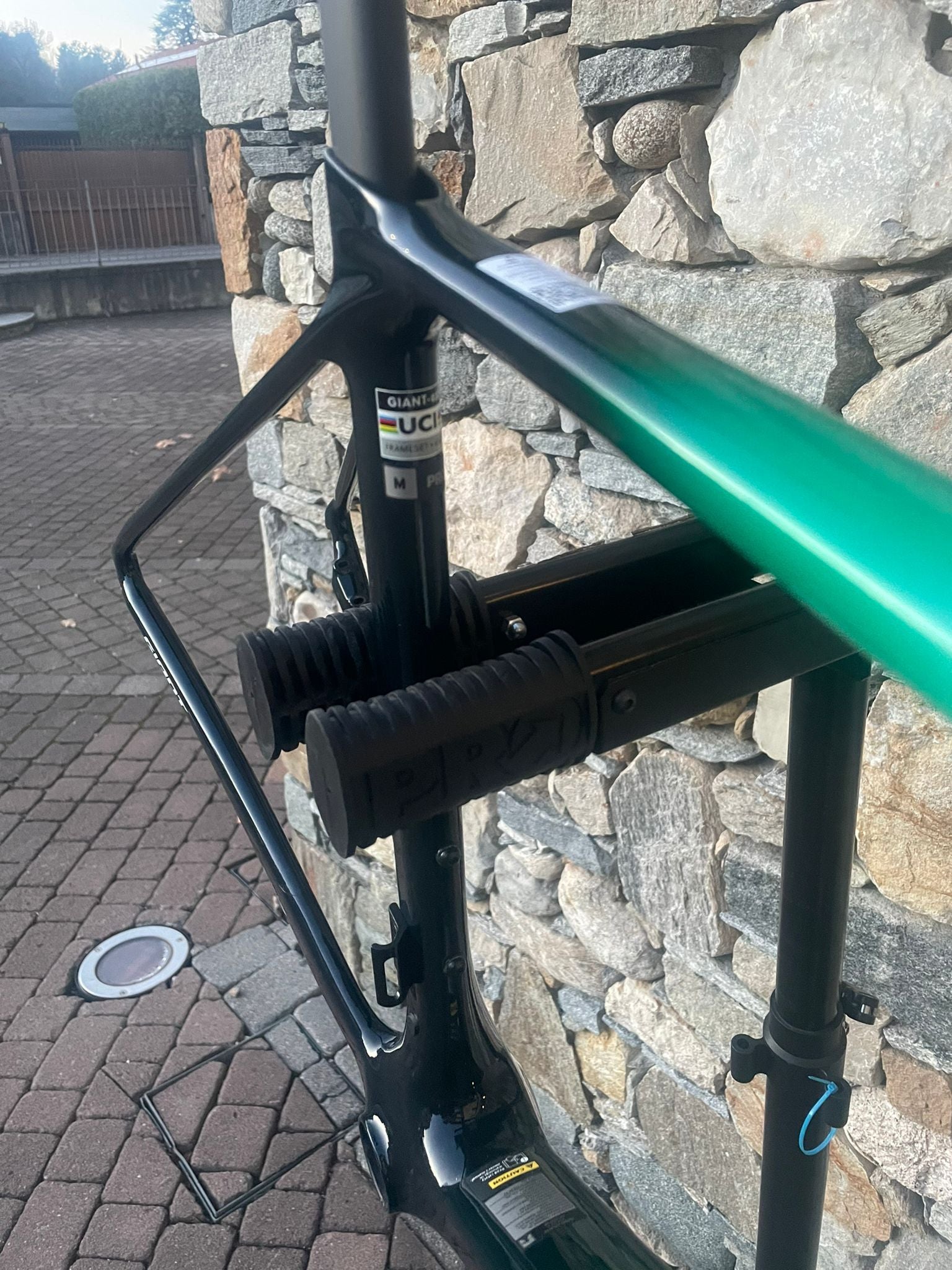 Giant TCR Advanced Pro Frameset 2026 Frameset