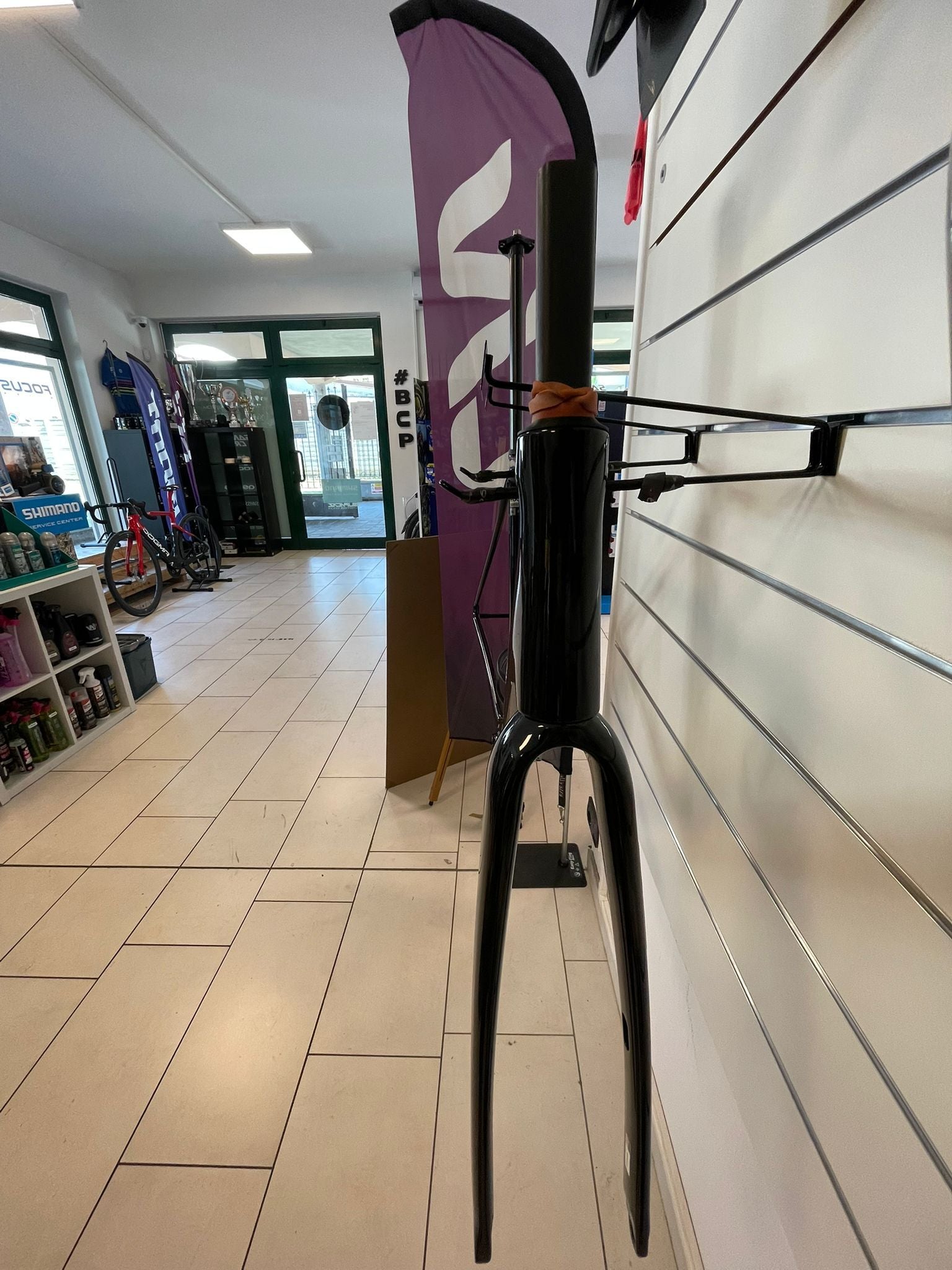 Giant Giant TCR Advanced Pro Raw Carbon Frameset 2025
