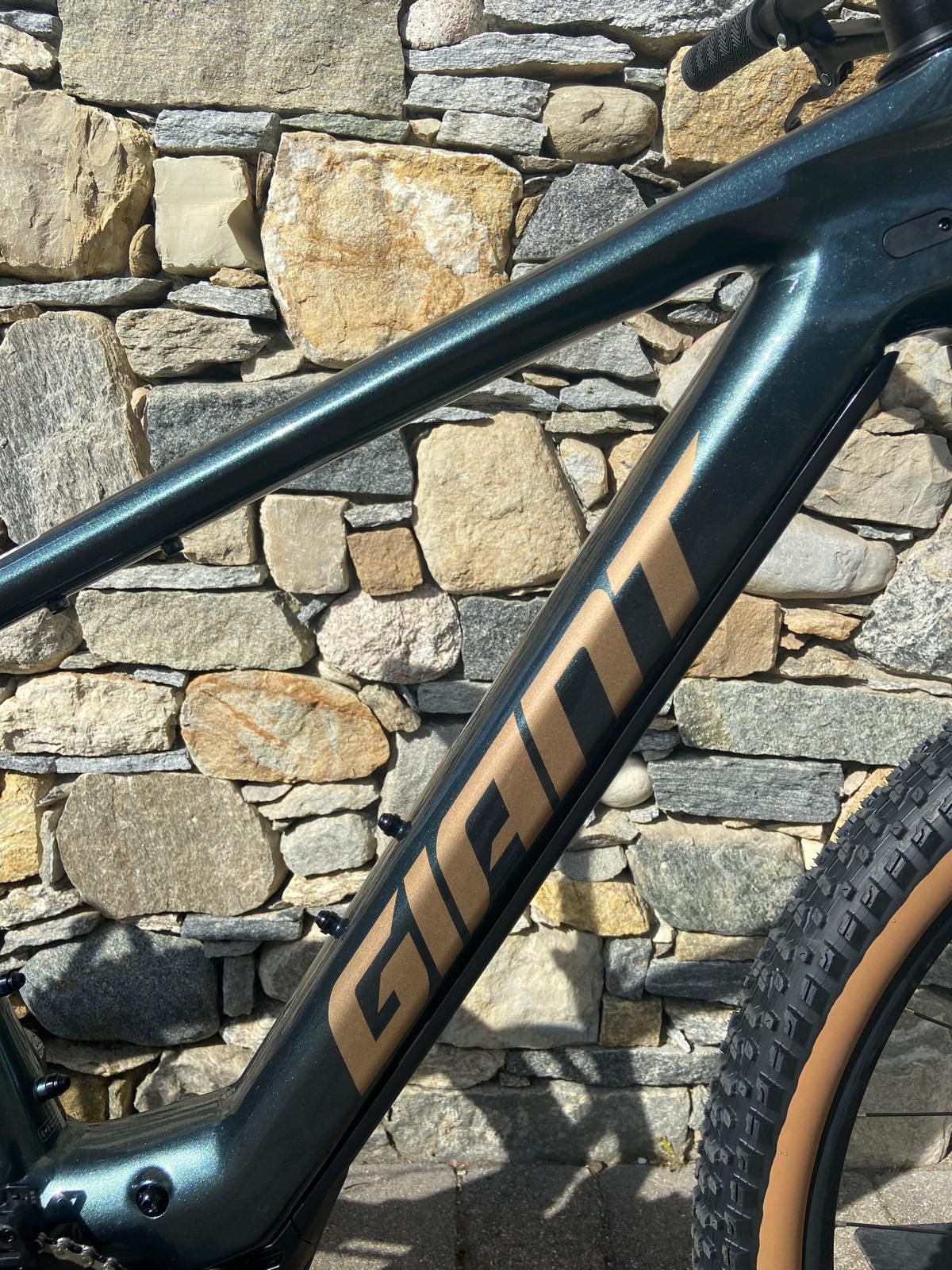 Giant Talon E+ 2026