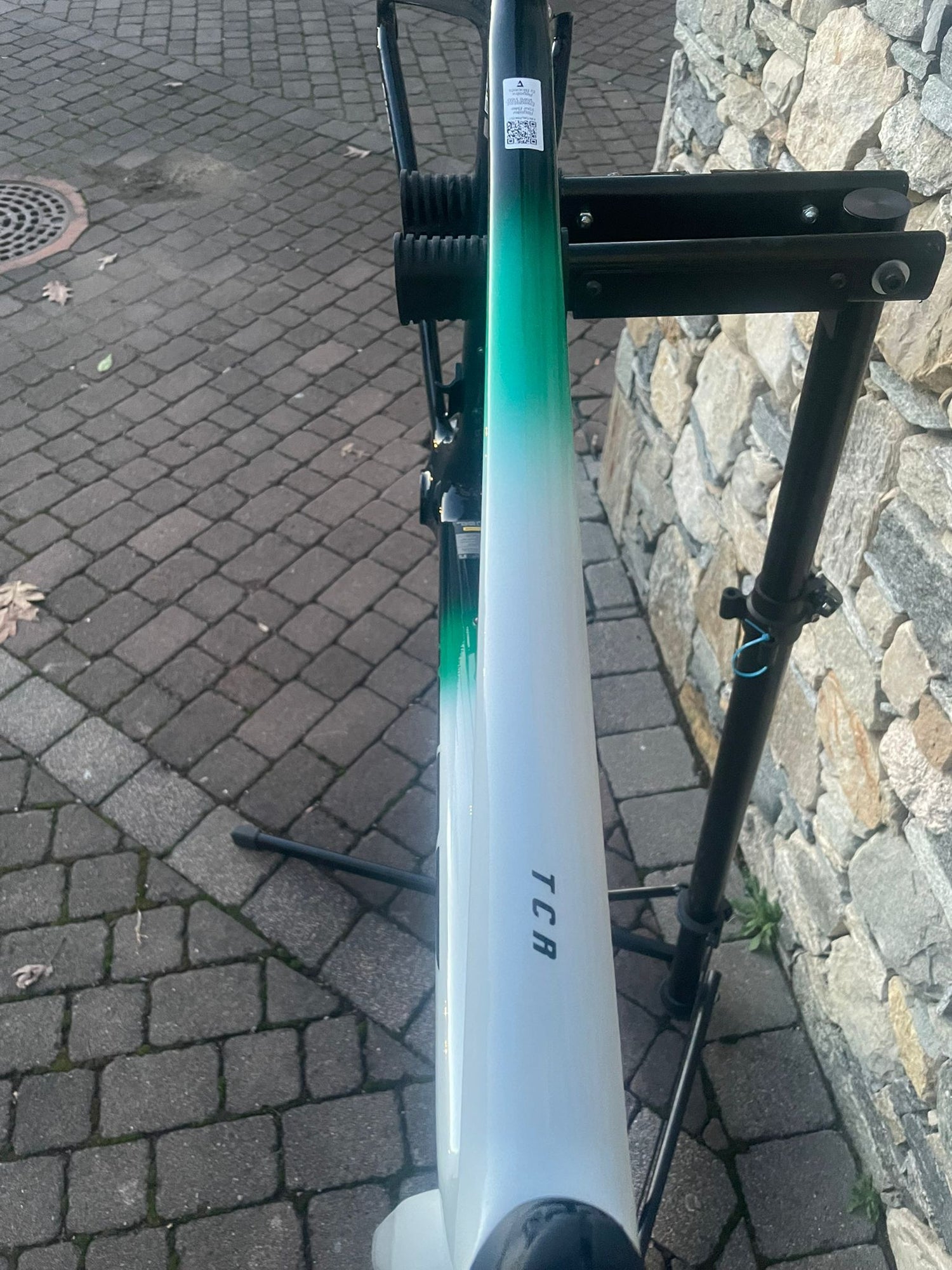 Giant TCR Advanced Pro Frameset 2026 Frameset