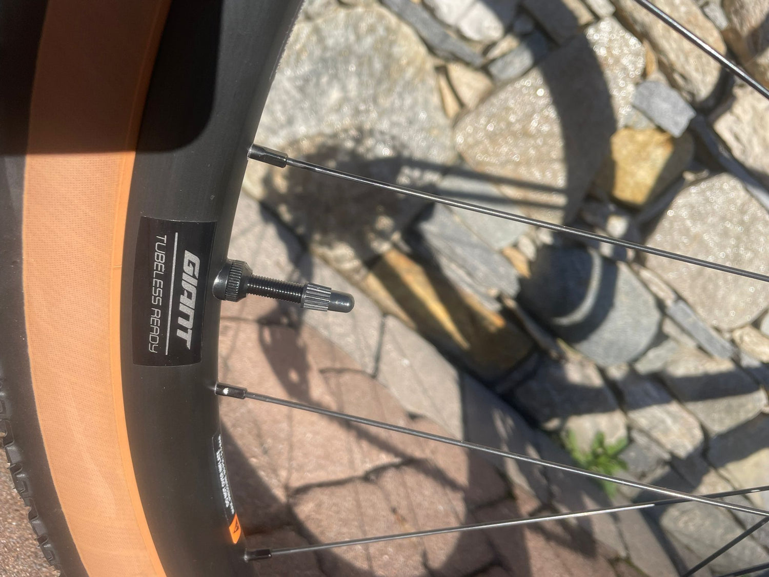 Giant Revolt Advanced 2 2026