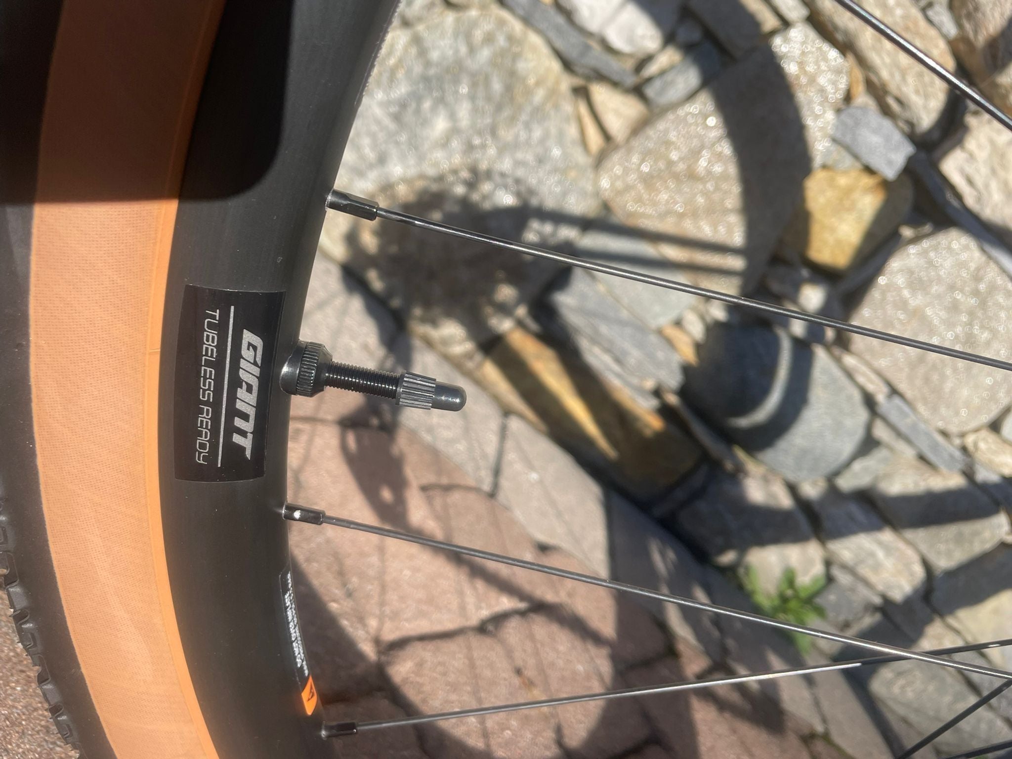 Giant Revolt Advanced 2 2026