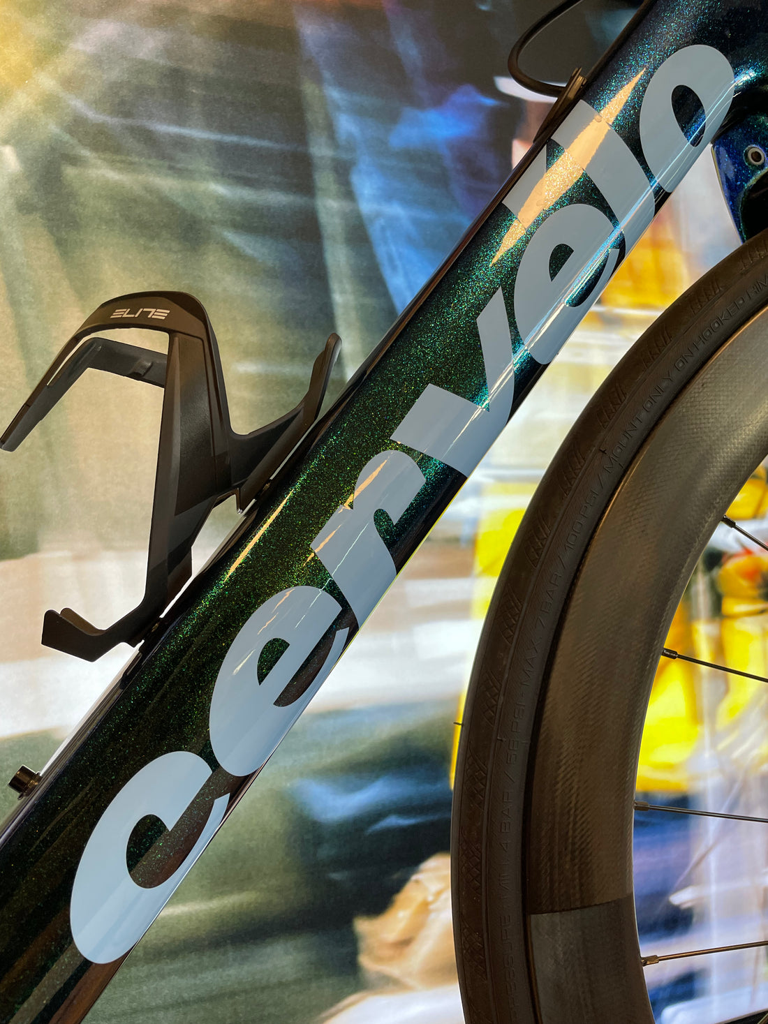 CERVÉLO CALEDONIA OASIS