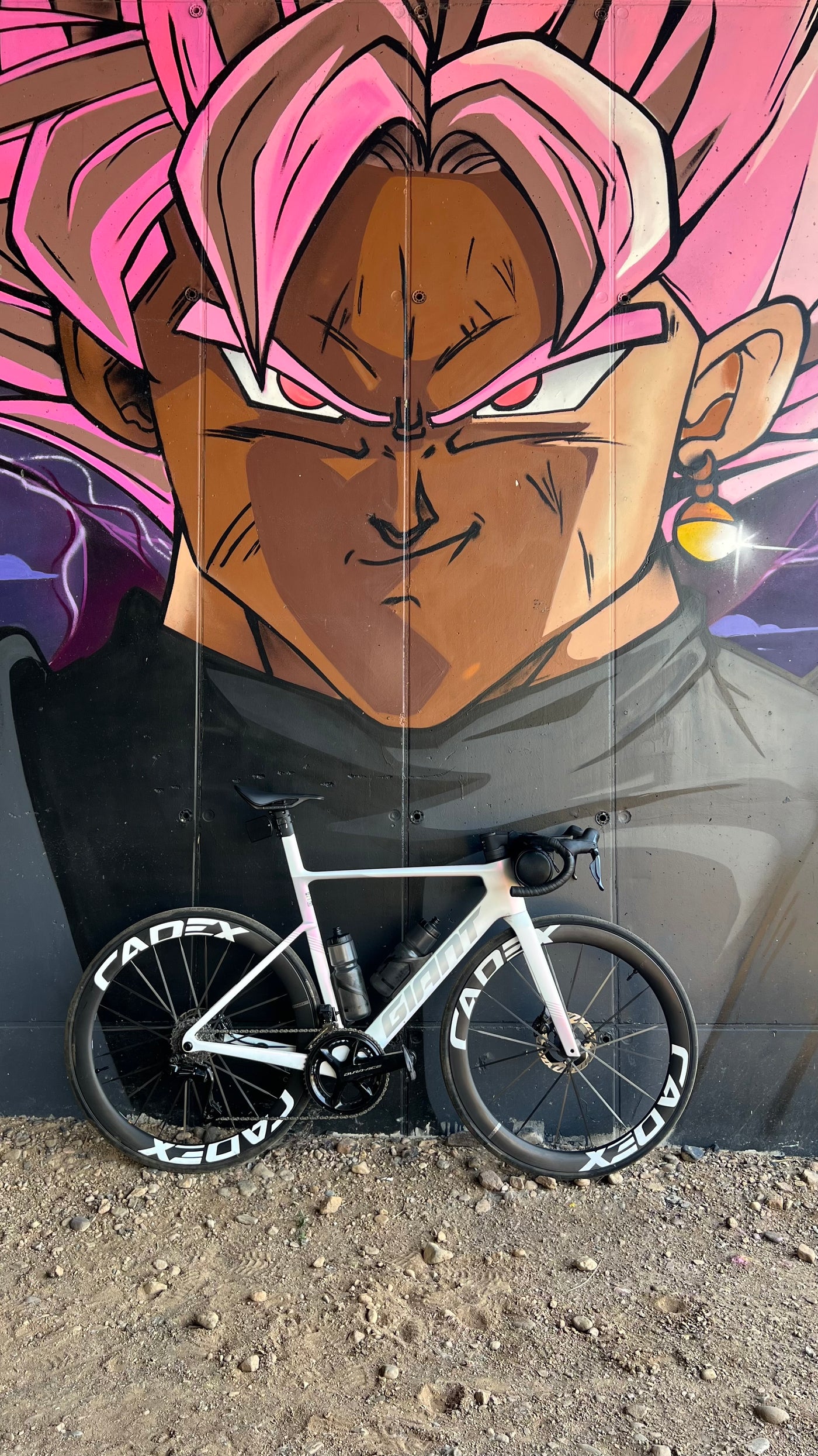 Setup bici Team BCP Bike ASD - Raul Colombo - Giant Propel