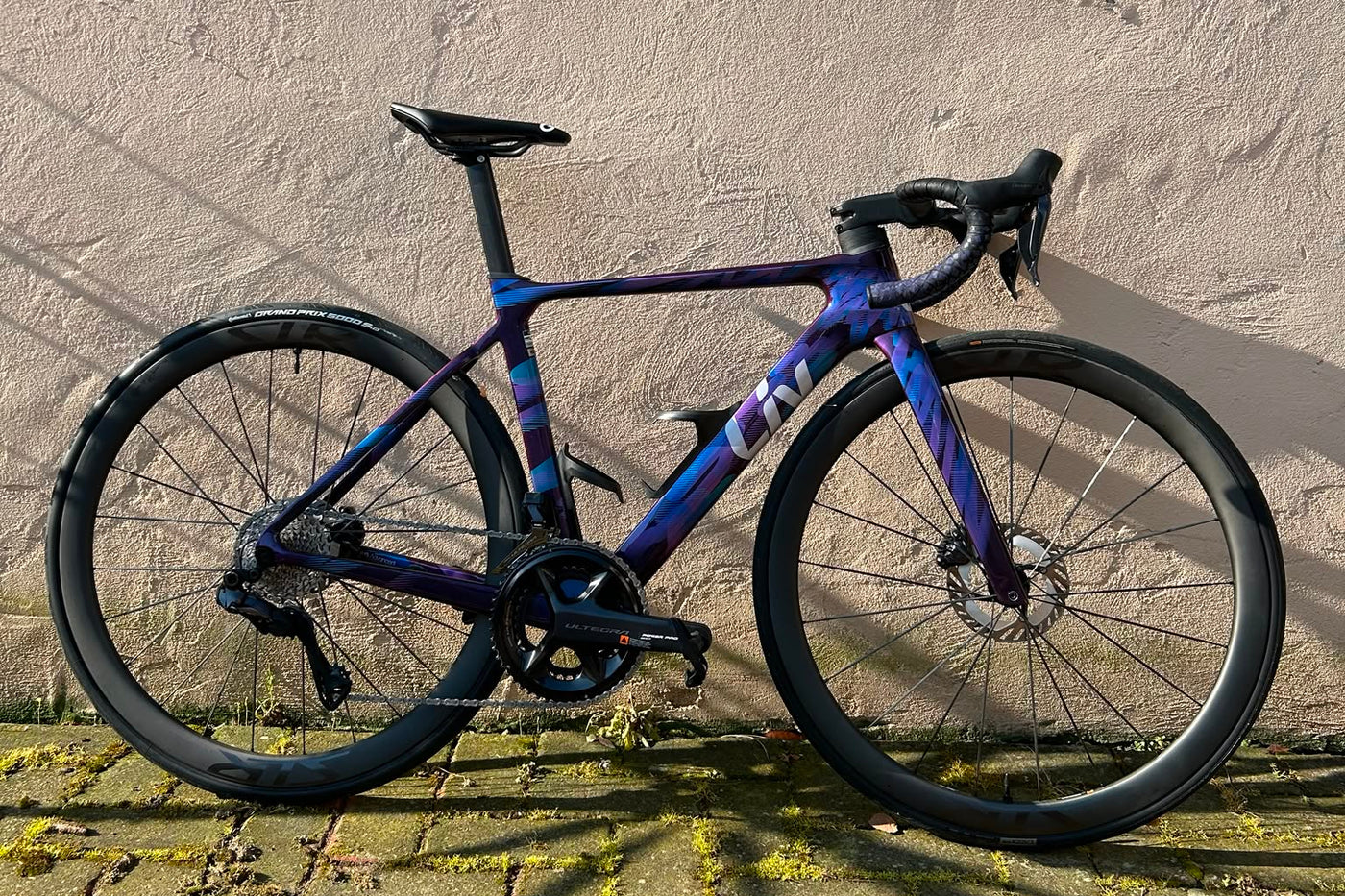 Setup bici Team BCP Bike ASD - Federica Schianchi - Liv EnviLiv
