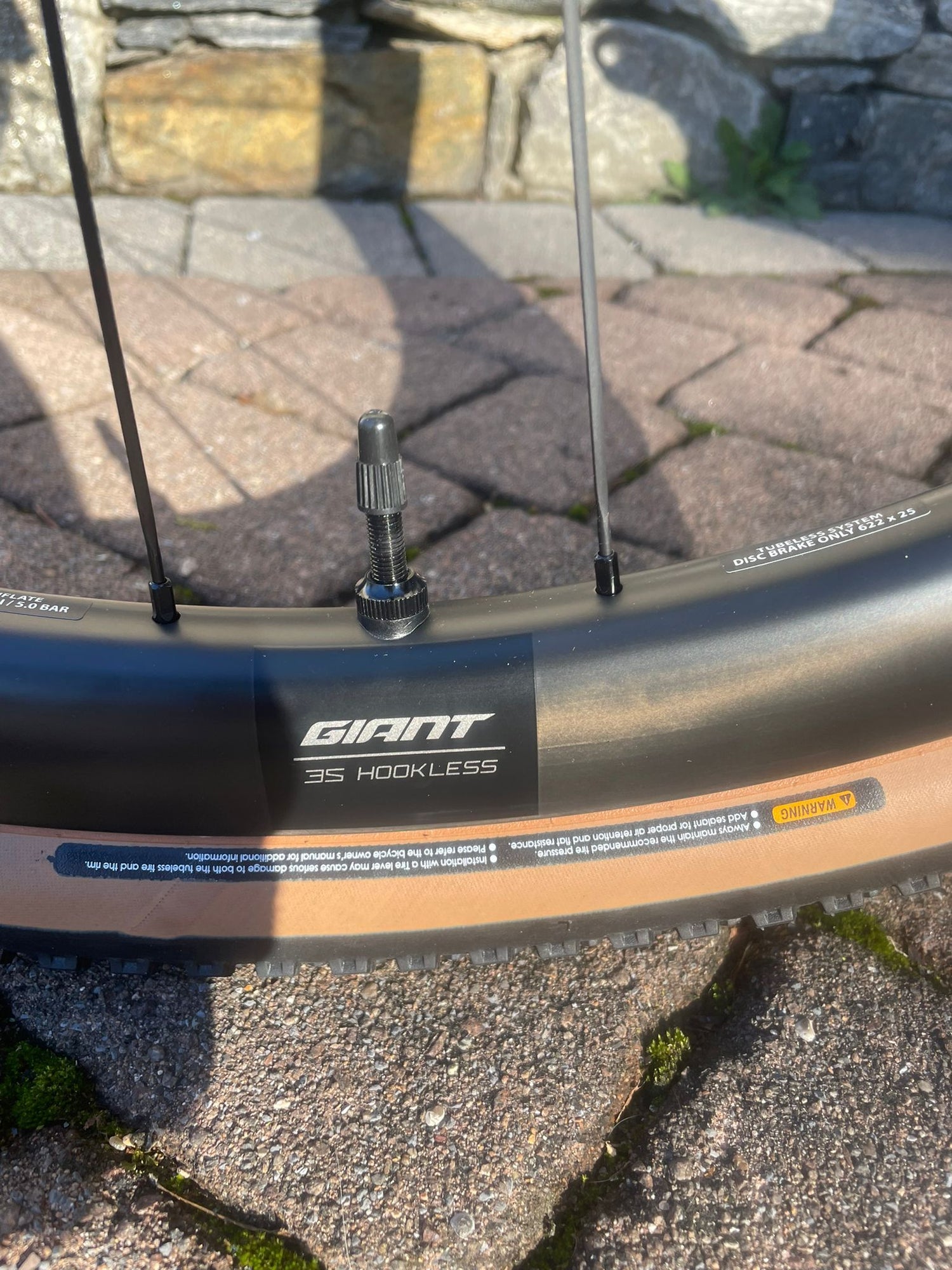 Giant Revolt Advanced Pro 0 2026