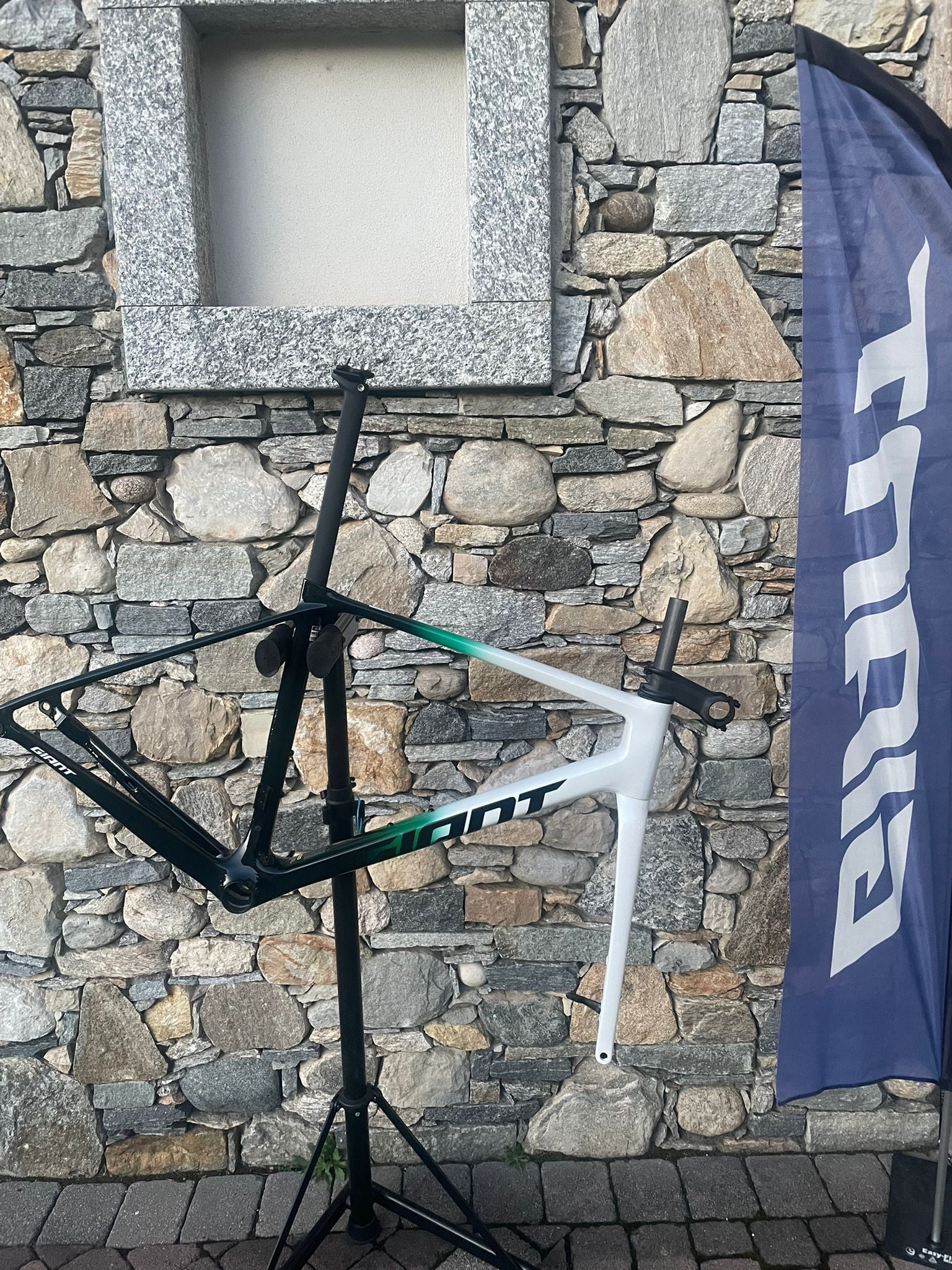 Giant TCR Advanced Pro Frameset 2026 Frameset
