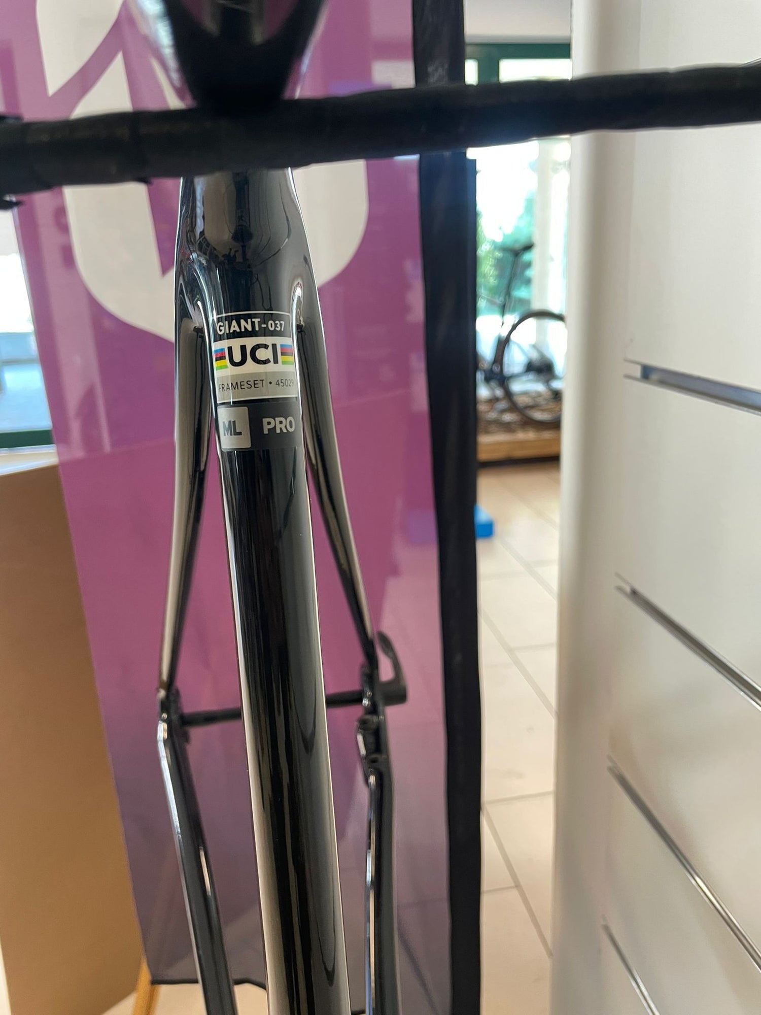 Giant Giant TCR Advanced Pro Raw Carbon Frameset 2025